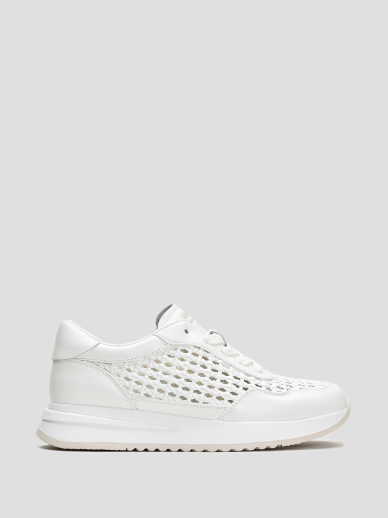 Кроссовки Vitto Rossi VS000094681