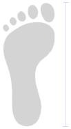 foot